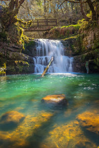 Water flowing through rocks in forest