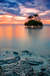 Scenic view of sea during sunset