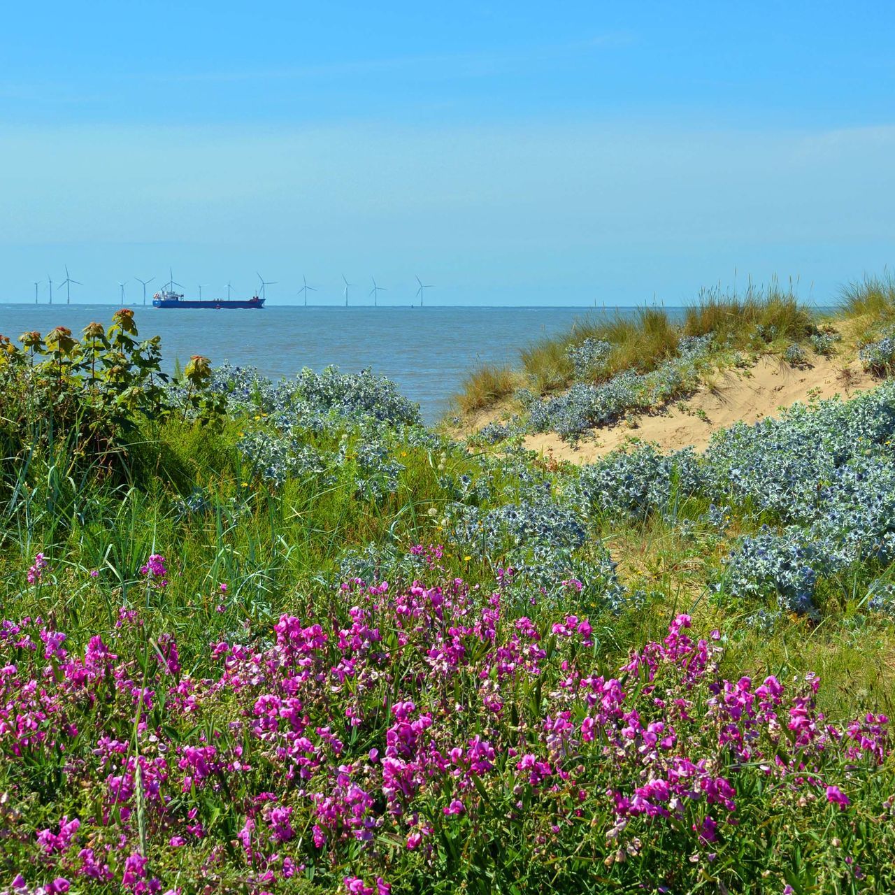 Sefton Coast