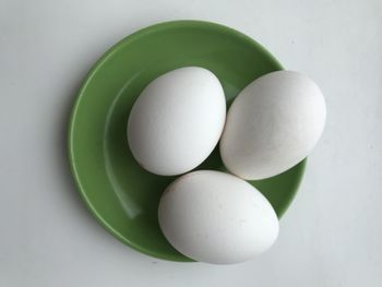 High angle view of eggs on white background