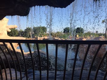 Reflection of trees in water