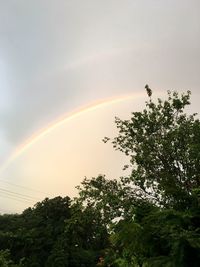 Low angle view of trees against rainbow in sky