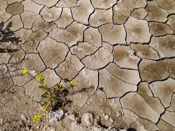 Full frame shot of cracked land