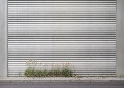 Plants growing in front of closed door