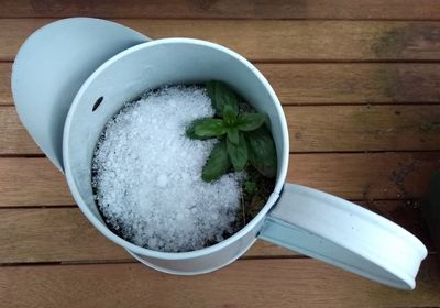 High angle view of ice cream in bowl on table