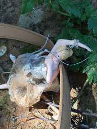 High angle view of abandoned doll and belt by plant