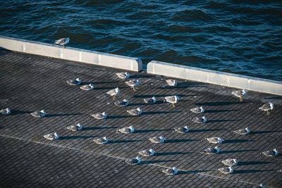 High angle view of wood by sea on sunny day