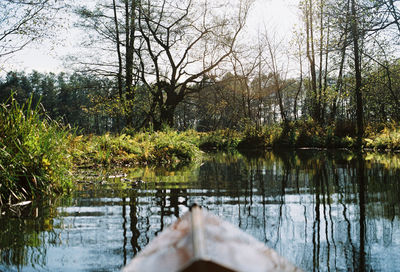 Low section of person in lake against trees in forest