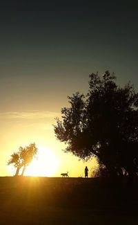 Silhouette trees against sky during sunset