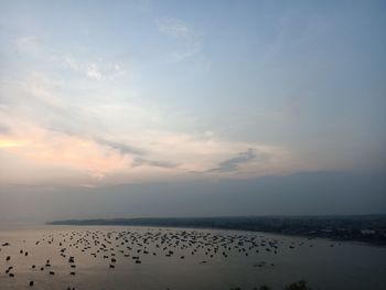 Flock of birds on beach against sky during sunset