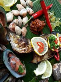 Close-up of seafood