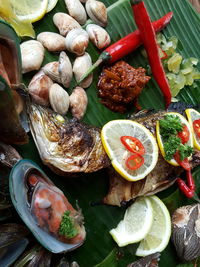 Fried fish and animal shells on banana leaf