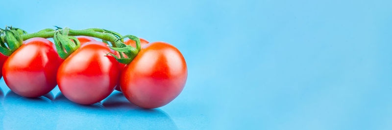 Close-up of tomatoes against blue background