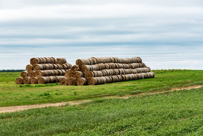 Cairns rolls of mown hay on green grass. cloudy weather.