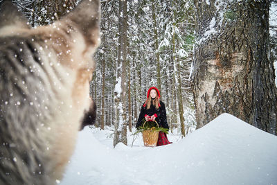 High angle view of dog on snow