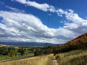 Panoramic shot of road amidst plants against sky