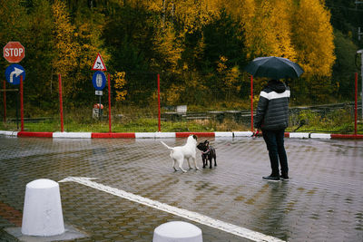 View of people walking on street during rainy season