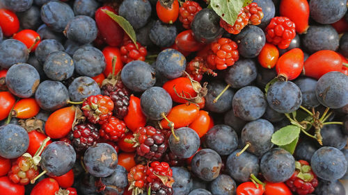 High angle view of strawberries