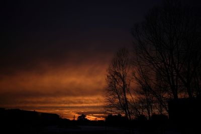 Silhouette trees against sky during sunset