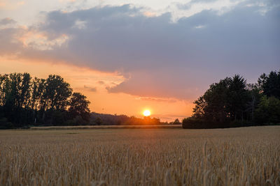 Scenic view of field against sky during sunset
