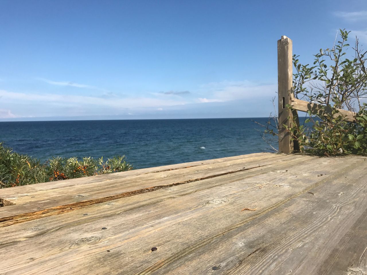 sea, wood - material, horizon over water, water, nature, sky, tranquility, tranquil scene, scenics, no people, beach, day, outdoors, cloud - sky, sunlight, beauty in nature, tree