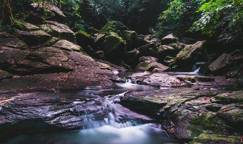 River flowing through rocks in forest