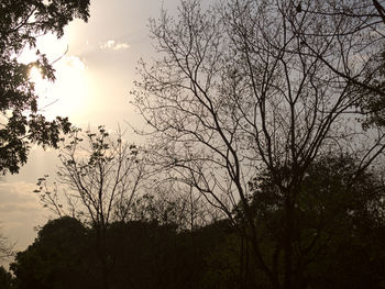 Low angle view of bare trees against sky