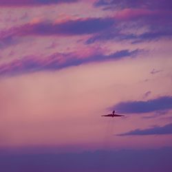 Low angle view of airplane flying in sky during sunset