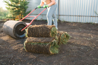 Low section of man working on field