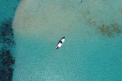 Aerial view of boat in sea