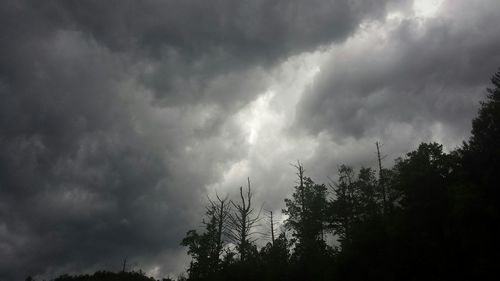 Low angle view of trees against cloudy sky