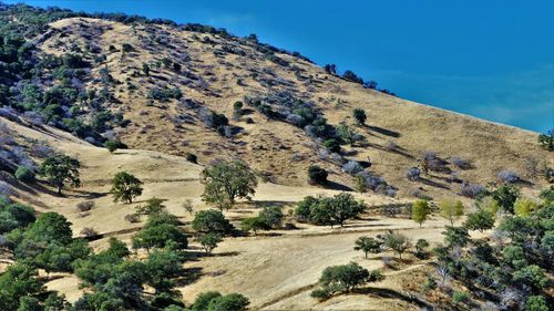 High angle view of trees on landscape against sky