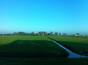 Scenic view of grassy field against blue sky