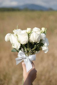 Close-up of hand holding white roses outdoors