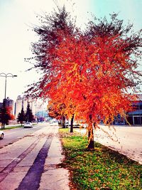 Empty road in autumn