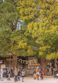 People walking in park during autumn