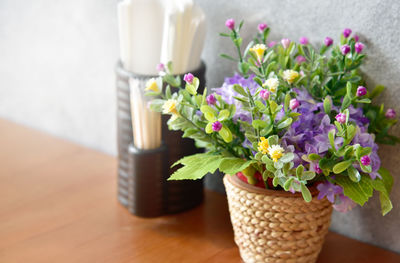 Close-up of potted plant on table