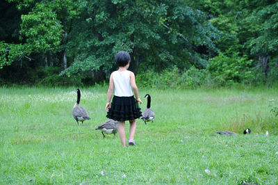 Rear view of girl standing on grassy field