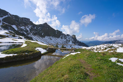 environment