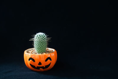 Close-up of pumpkin against black background