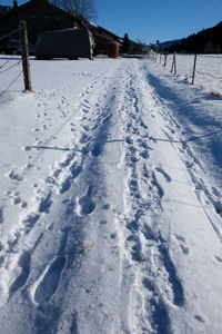 Snow covered land on field during winter