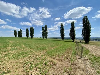 Trees on field against sky