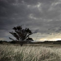 Scenic view of field against cloudy sky