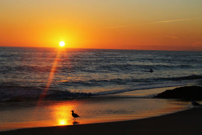 Sunset over sea