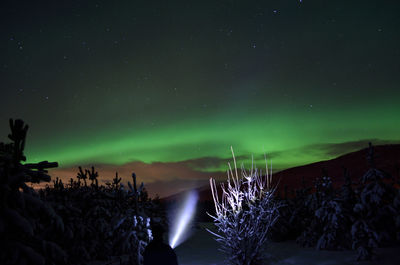 Illuminated trees against sky at night