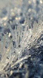 Close-up of snowflakes on frozen water