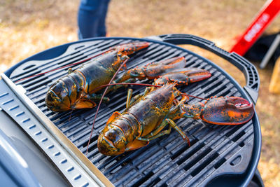 High angle view of fish on barbecue grill