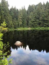 Reflection of trees in lake against sky in forest