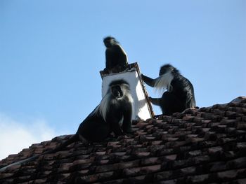 Low angle view of statue on roof against clear sky