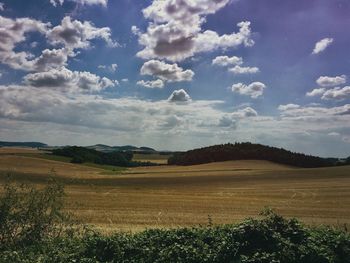 Scenic view of agricultural field against sky